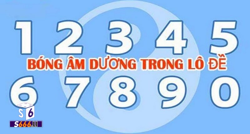 Kinh nghiệm sử dụng bóng âm dương là gì 